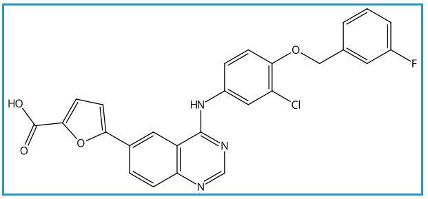 Lapatinib Carboxylic Acid Impurity